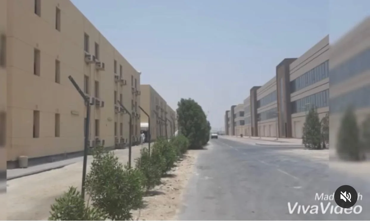 WhatsApp Image 2026-03-26 at 1.36.51 AM